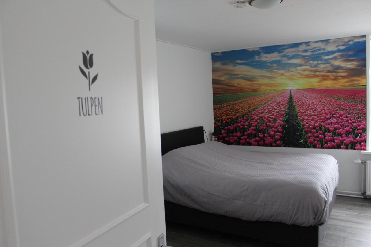 Slapen Bij De Buurvrouw Bed & Breakfast Castricum Bagian luar foto