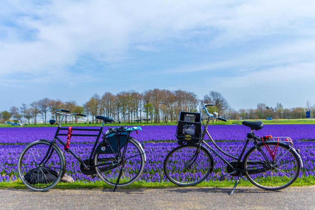 Slapen Bij De Buurvrouw Bed & Breakfast Castricum Bagian luar foto